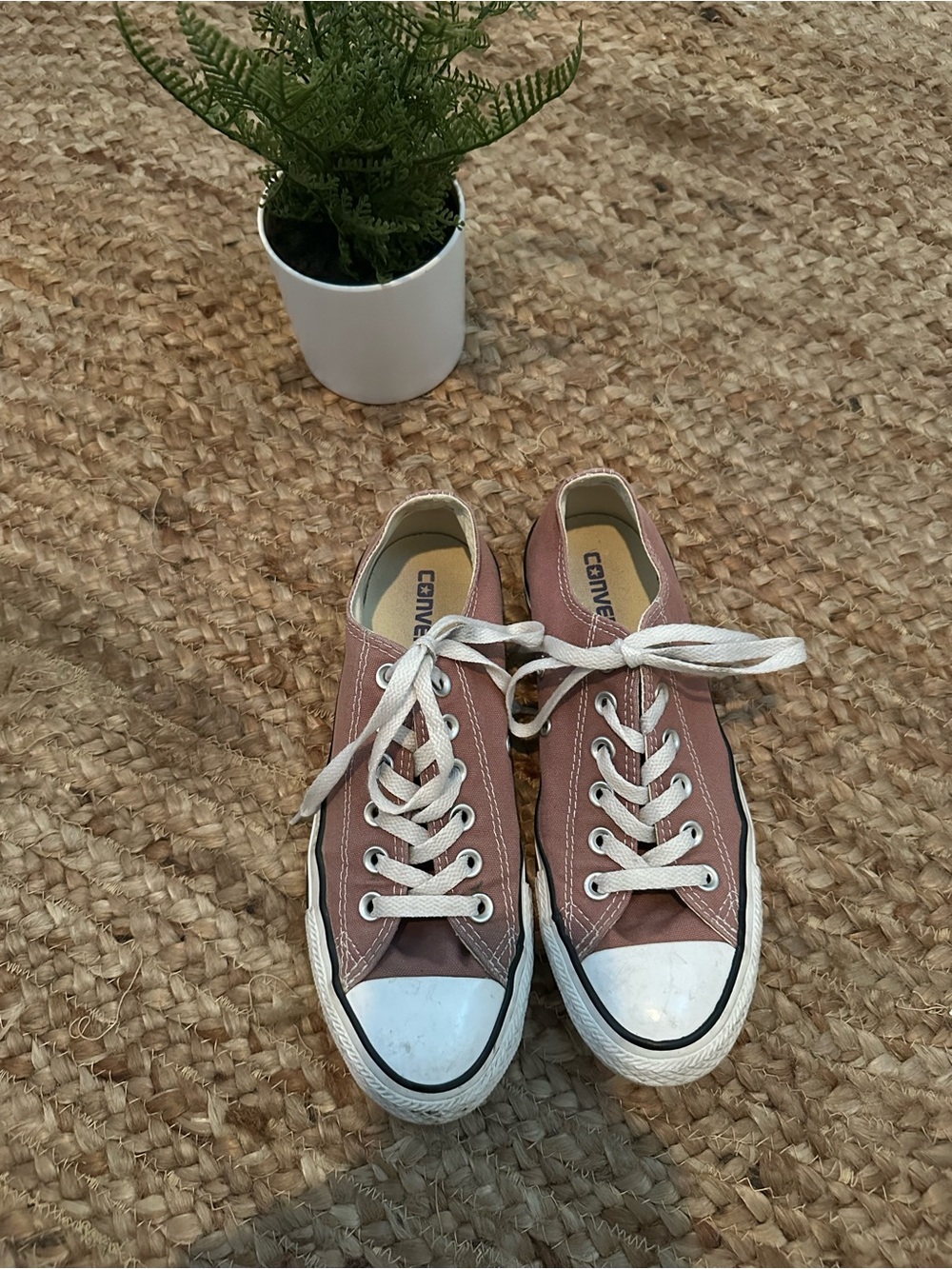 PLUM PINK CONVERSE